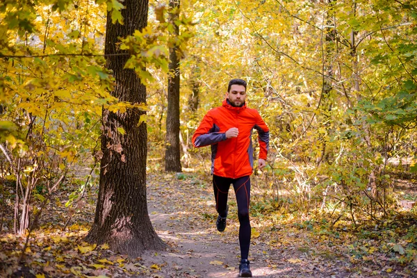 Joven corriendo por el sendero soleado en el hermoso bosque de robles de otoño —  Fotos de Stock