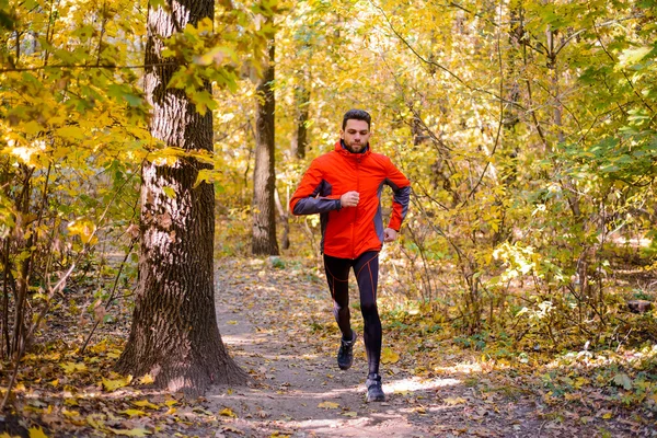 Joven corriendo por el sendero soleado en el hermoso bosque de robles de otoño —  Fotos de Stock