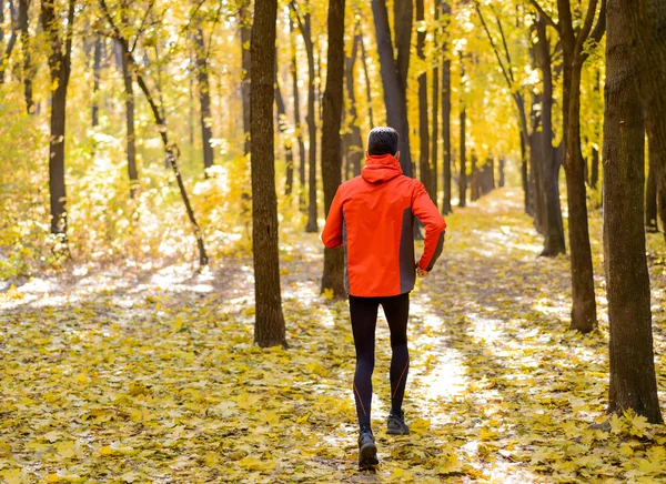 Joven corriendo por el sendero soleado en el hermoso bosque de robles de otoño — Foto de Stock