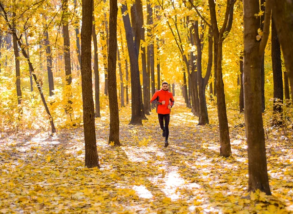 Den unge mannen løper på solskinnsstien i den vakre høst-eikeskogen. – stockfoto