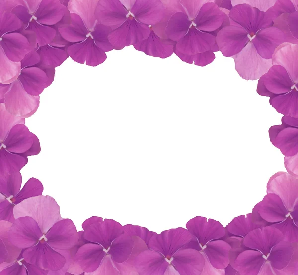Frame of Purple Pansies — Stock Photo, Image