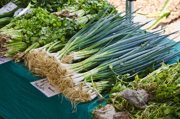 Bunches de chalotas no mercado stall — Fotografia de Stock