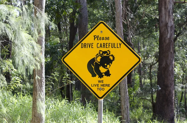 Koala road sign in Australia — Stock Photo, Image