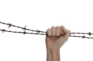 Hand clenching rusty barbed wires
