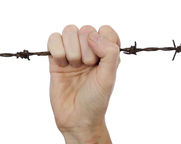 Hand clenching rusty barbed wire — Stock Photo, Image