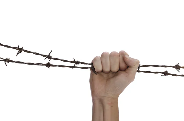 Hand clenching rusty barbed wires