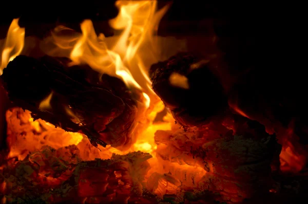 Ahşap ateş kırmızı sıcak kömür