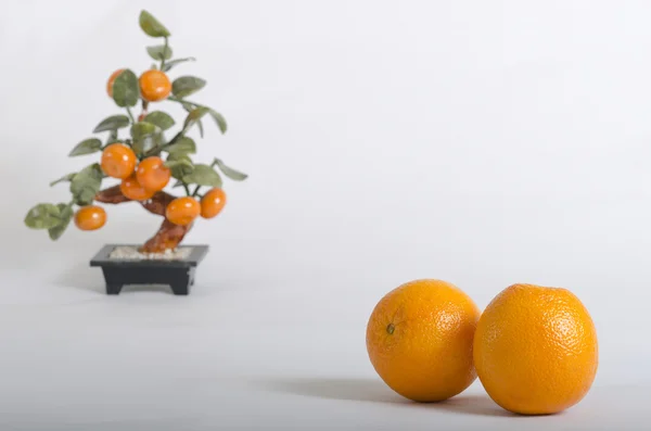 Ripe oranges and orange tree