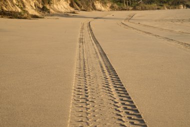 Tyretracks kum plajındaki