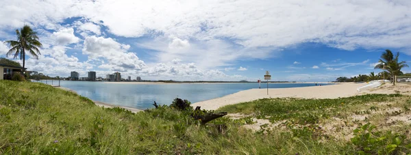 Panorama dell'albero di cotone Maroochydore — Foto Stock