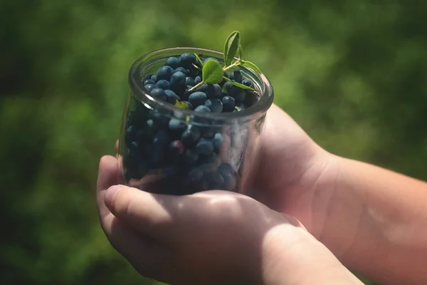 Blueberries in a glass jar held by childrens hands. Green background. — Stock Fotó