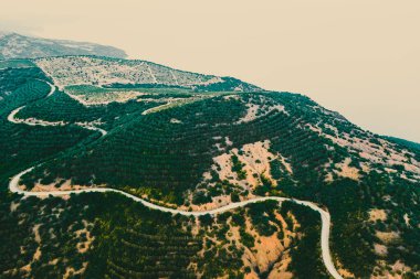 Yeşil tepelerden geçen uzun ve dolambaçlı bir yol 