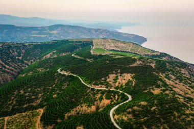Yeşil tepelerden geçen uzun ve dolambaçlı bir yol 