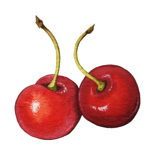 Cherries. Watercolor — Stock Photo, Image