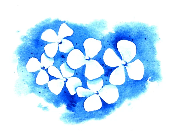 青色の背景に白い花。水彩イラスト — ストック写真