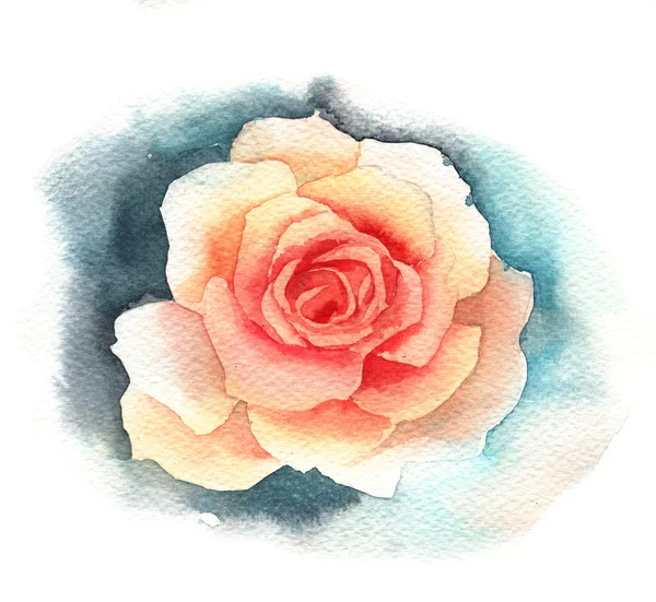 Watercolor rose — Stock Photo, Image