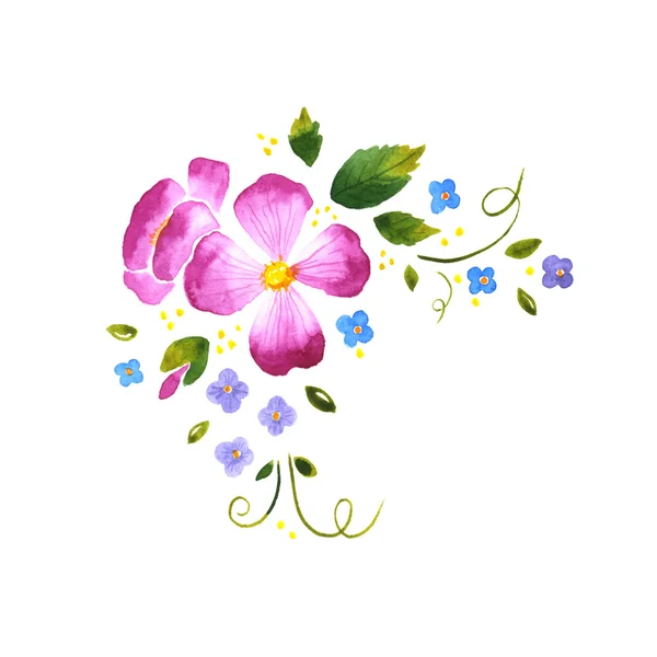 水彩画の花の装飾的な要素 — ストック写真