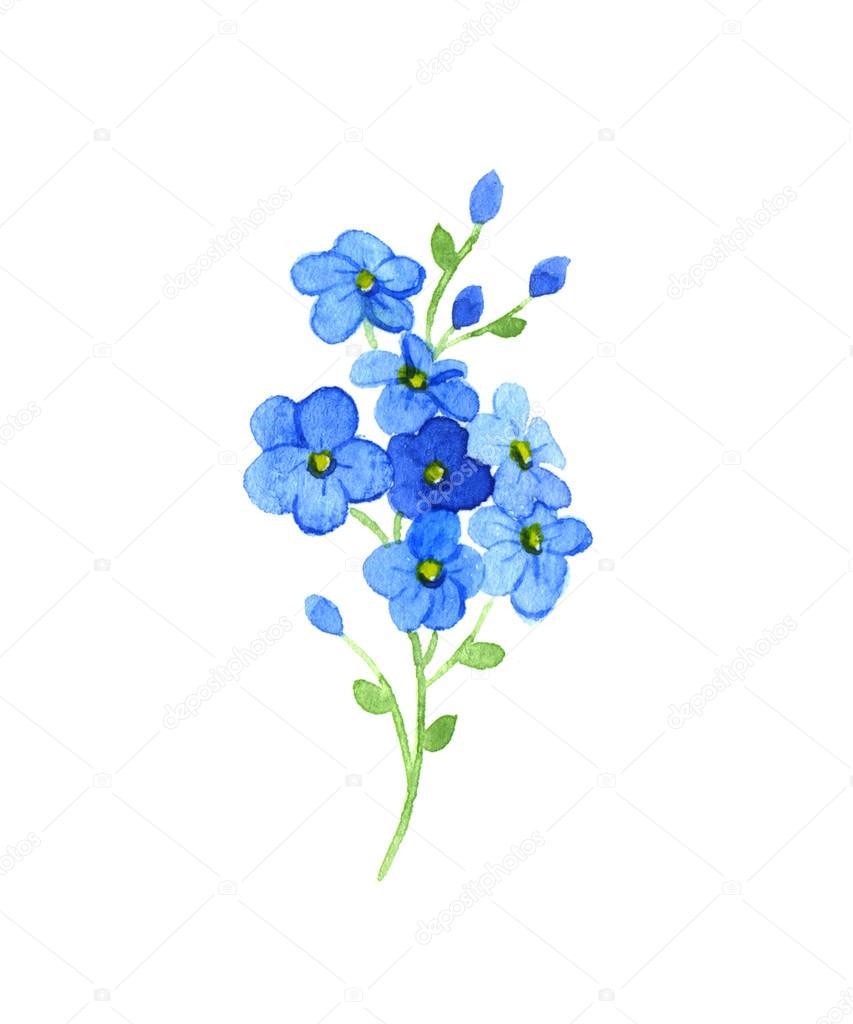 Flowers forget-me