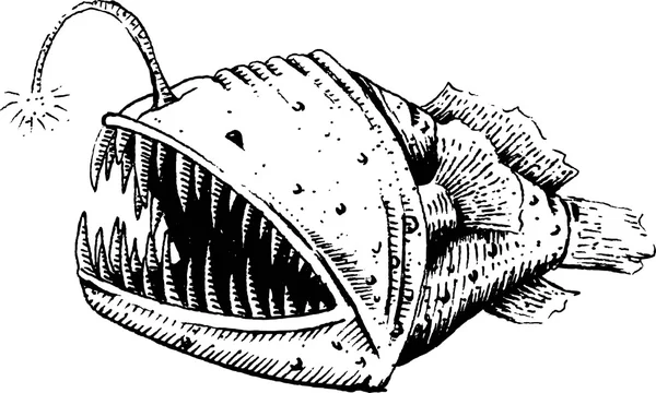 Poisson-chien, poisson, pêcheur ou diable de mer — Image vectorielle
