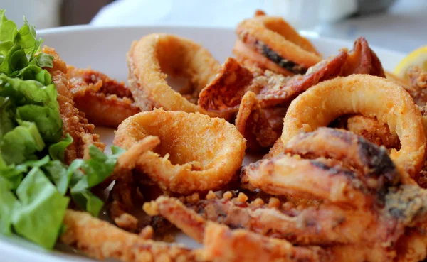 Pieuvre et calamars — Photo