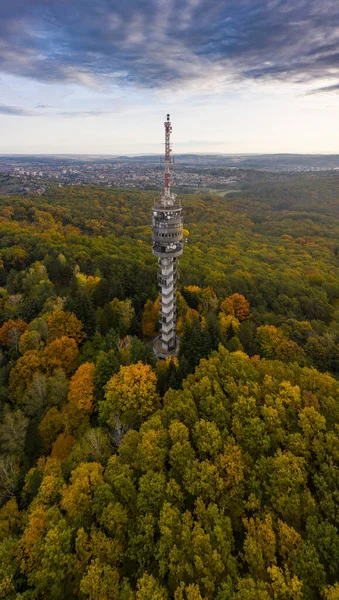 テレビ塔ザラゲルスツークの秋の森 — ストック写真