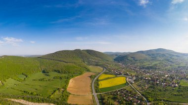 Mecsek Hills ile sarı kanola tarlası