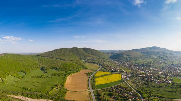 Campo Canola Amarillo Con Mecsek Hills — Foto de Stock