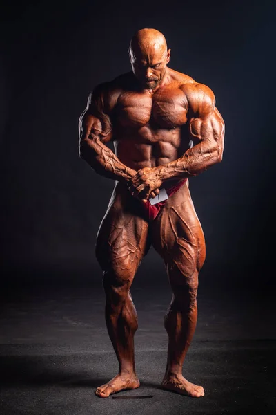 2019 Budapesten Magyarországon Magyarország Oct Lukas Osladil Studio Photo Fitparade — Stock Fotó