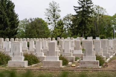 Bir sürü mezar, askeri mezarlıkta Rus mezarları.