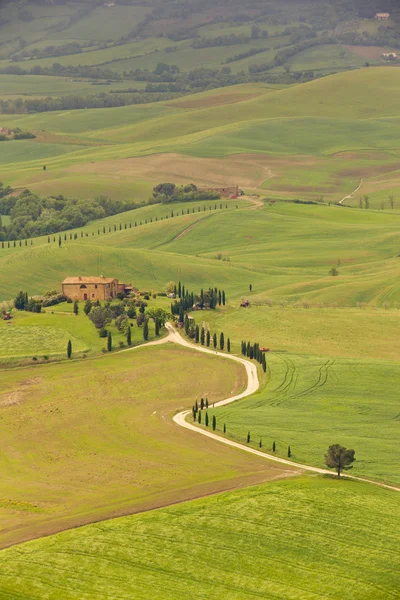 Paisagem típica da Toscana na Itália — Fotografia de Stock