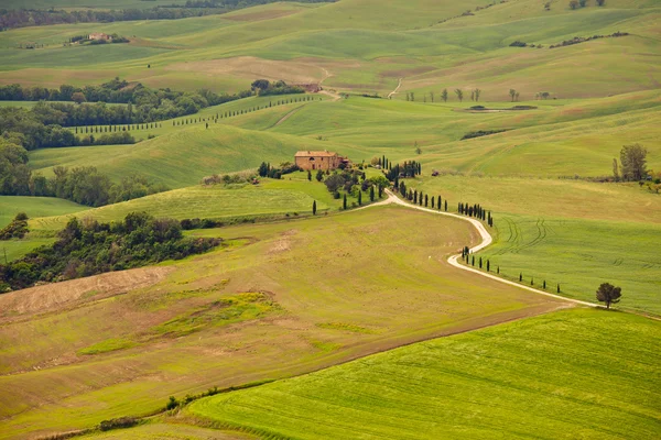 Tuscan landskap — Stockfoto