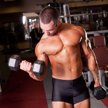 Vücut Geliştirici Eğitimi