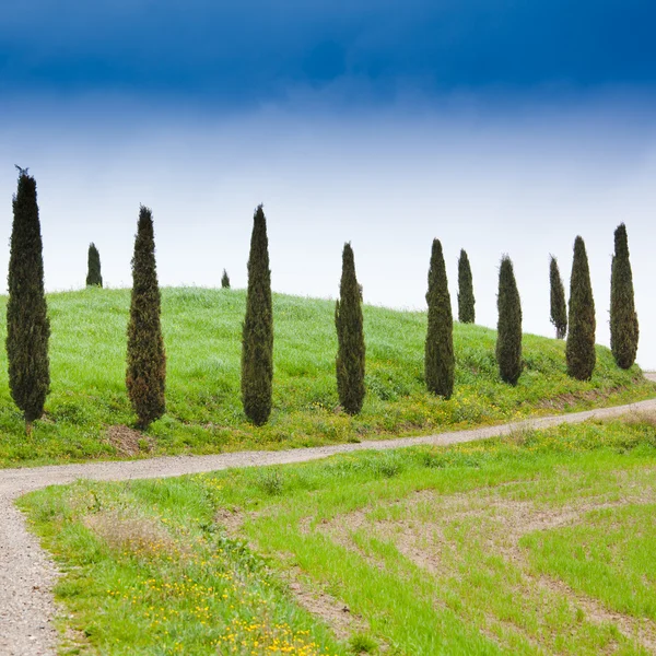 Paisagem típica da Toscana na Itália — Fotografia de Stock