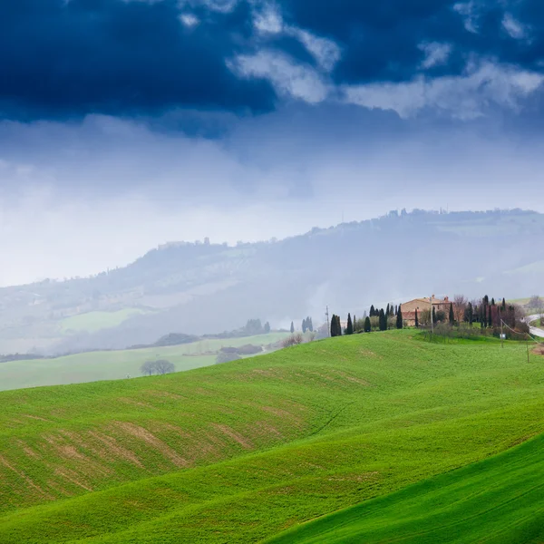 Paisaje típico toscano en Italia —  Fotos de Stock