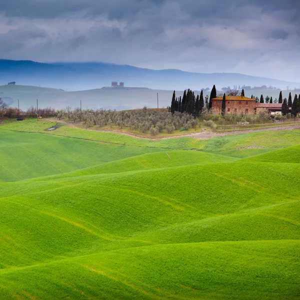 イタリアの典型的なトスカーナの風景 — ストック写真