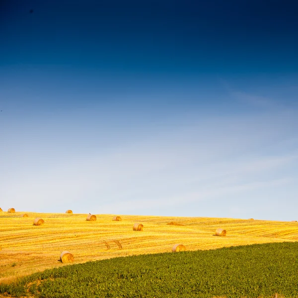 Fardos de palha — Fotografia de Stock