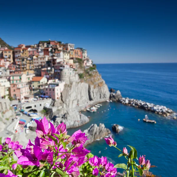 Manarola, cinque terre, feld y — стоковое фото