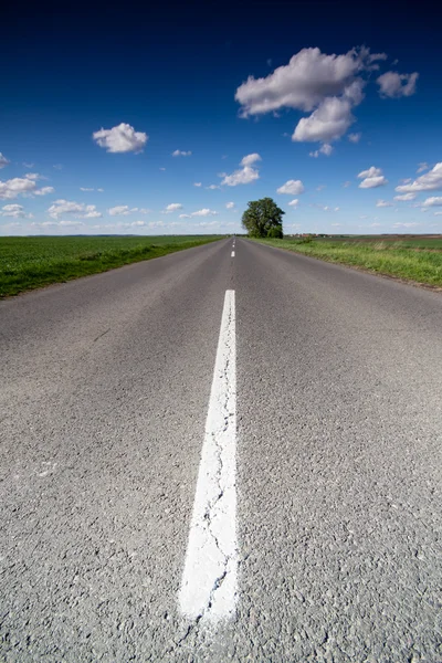 Asphalt road — Stock Photo, Image