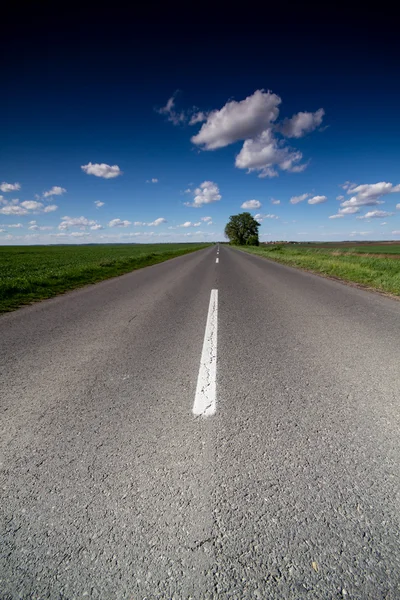 Asphalt road — Stock Photo, Image