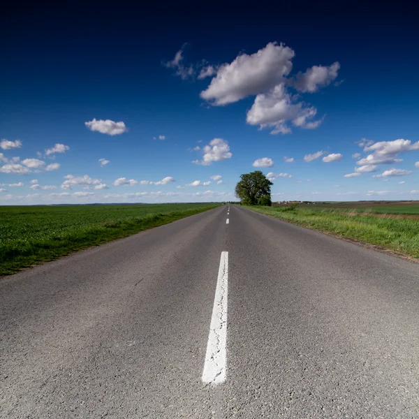 Asphalt road — Stock Photo, Image