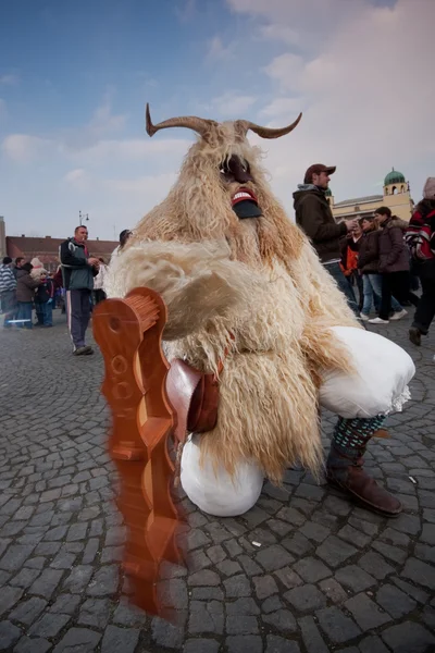 Mohacsi Busojaras carnival — Stock Photo, Image