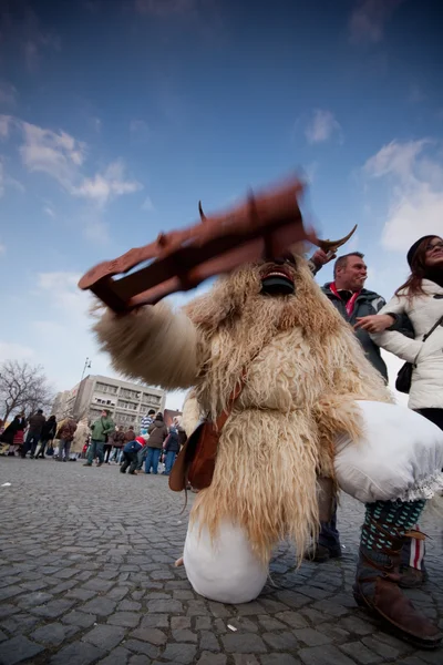 Carnaval de mohacsi busojaras — Fotografia de Stock