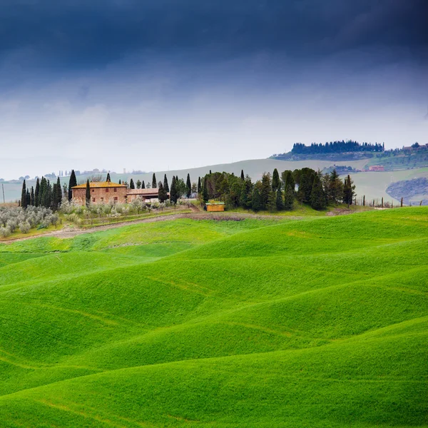 Paesaggio tipico toscano in Italia — Foto Stock