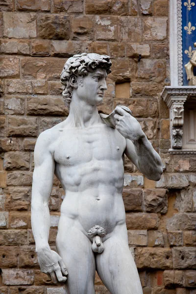 The statue of David — Stock Photo, Image