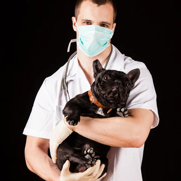 動物の医者 — ストック写真