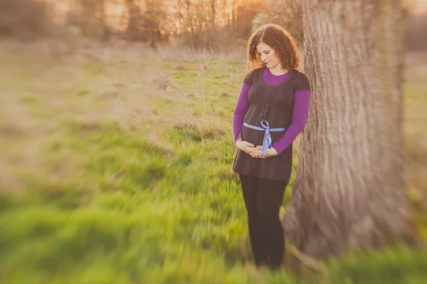 Beautiful pregnant young woman — Stock Photo, Image