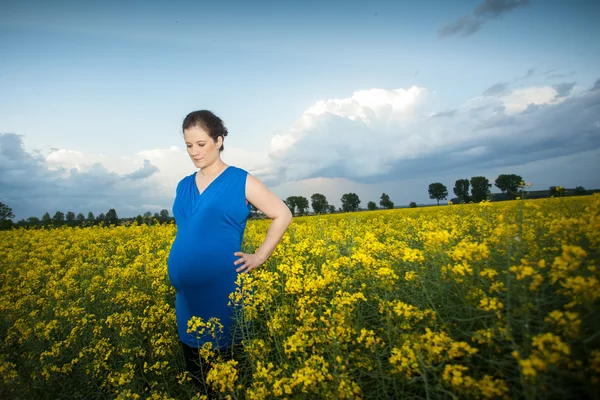 Gravid kvinna — Stockfoto