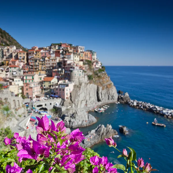 Manarola, cinque terre, feld y — стоковое фото