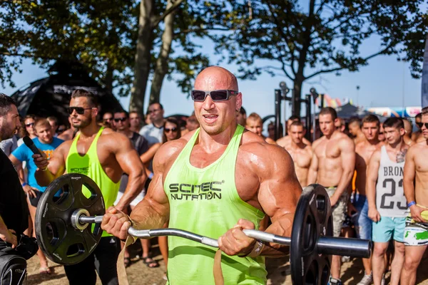 Scitec Muscle Beach — Fotografie, imagine de stoc