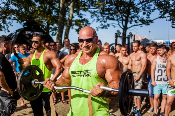 Scitec plage musculaire — Photo